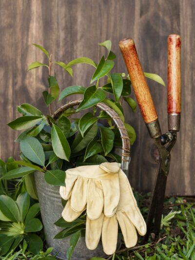 Home Maintenance